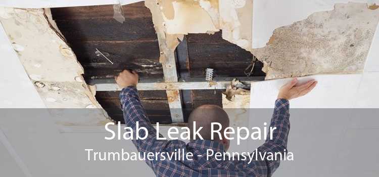 Slab Leak Repair Trumbauersville - Pennsylvania