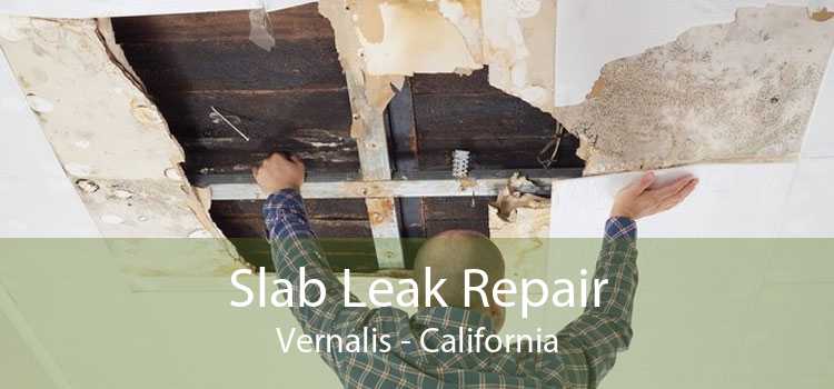 Slab Leak Repair Vernalis - California