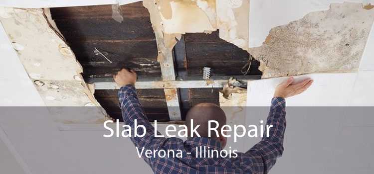 Slab Leak Repair Verona - Illinois