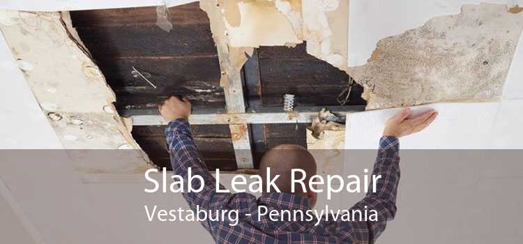 Slab Leak Repair Vestaburg - Pennsylvania