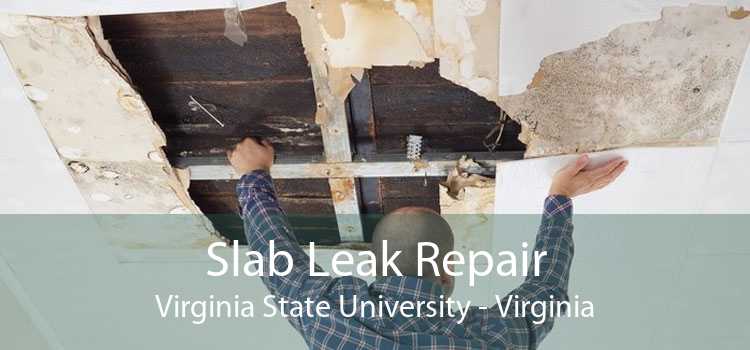 Slab Leak Repair Virginia State University - Virginia