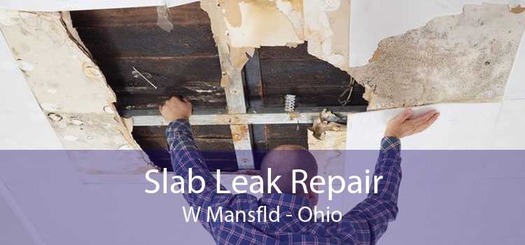 Slab Leak Repair W Mansfld - Ohio