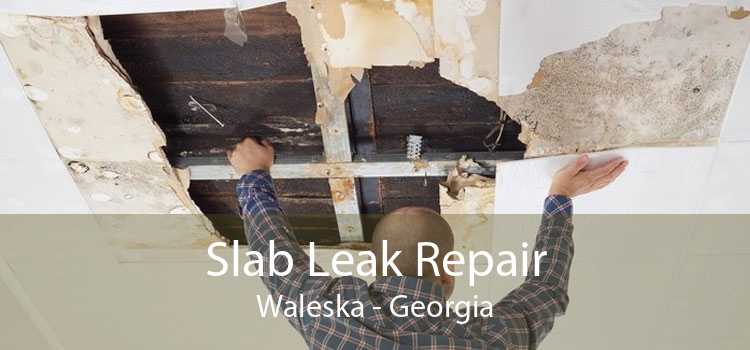 Slab Leak Repair Waleska - Georgia