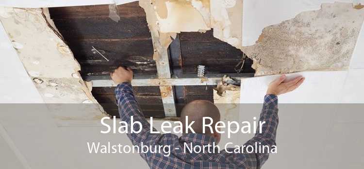 Slab Leak Repair Walstonburg - North Carolina