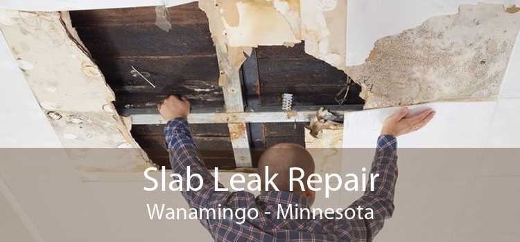 Slab Leak Repair Wanamingo - Minnesota
