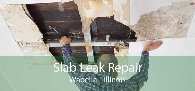 Slab Leak Repair Wapella - Illinois