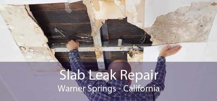 Slab Leak Repair Warner Springs - California