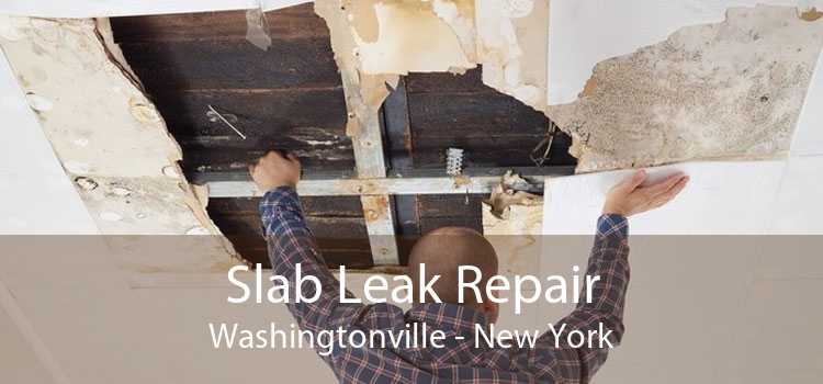 Slab Leak Repair Washingtonville - New York