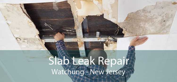 Slab Leak Repair Watchung - New Jersey