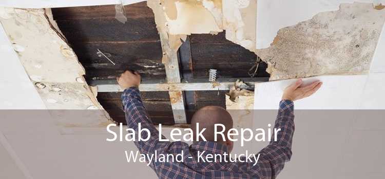 Slab Leak Repair Wayland - Kentucky