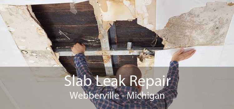 Slab Leak Repair Webberville - Michigan