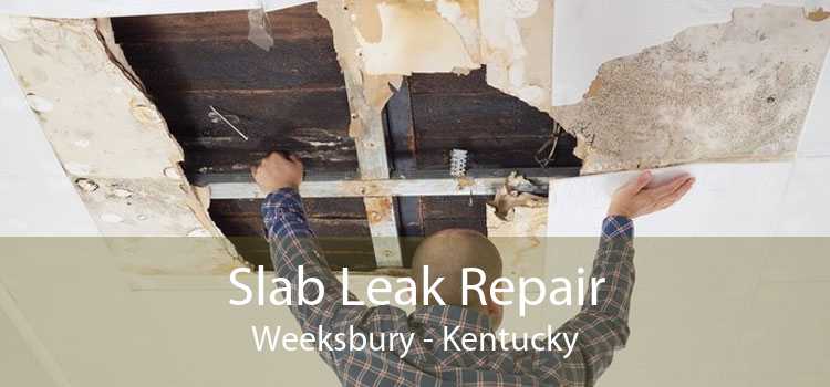 Slab Leak Repair Weeksbury - Kentucky