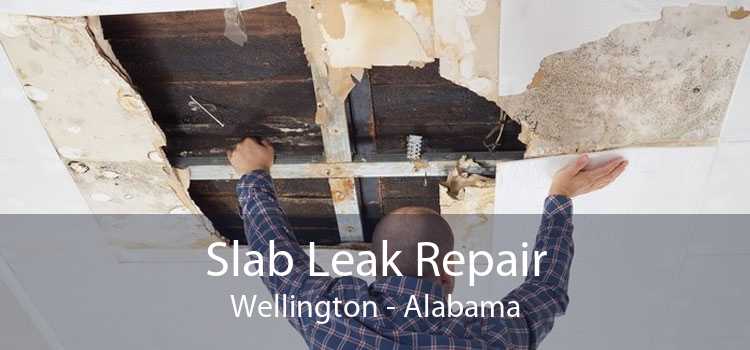 Slab Leak Repair Wellington - Alabama