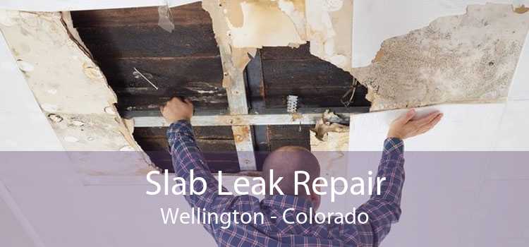 Slab Leak Repair Wellington - Colorado
