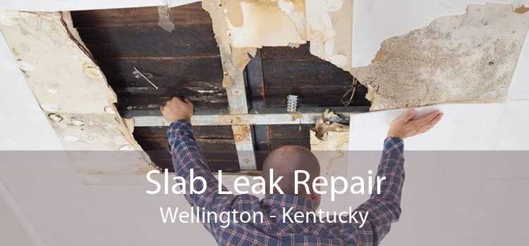 Slab Leak Repair Wellington - Kentucky