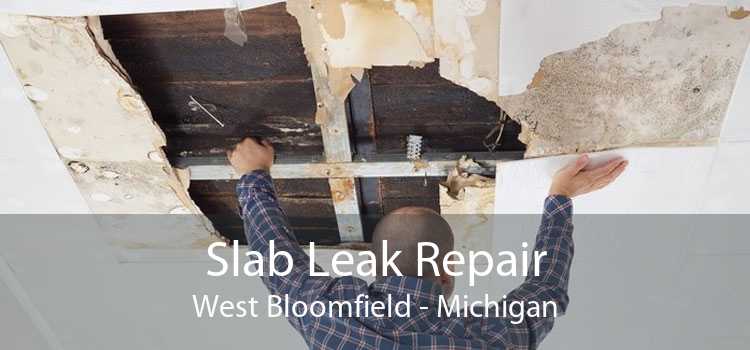 Slab Leak Repair West Bloomfield - Michigan