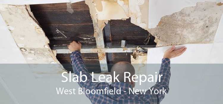 Slab Leak Repair West Bloomfield - New York