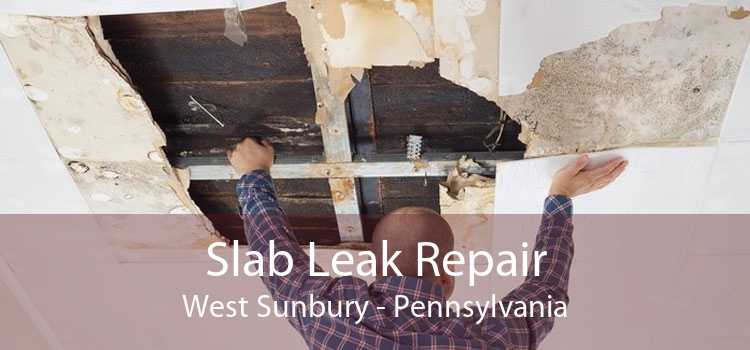 Slab Leak Repair West Sunbury - Pennsylvania
