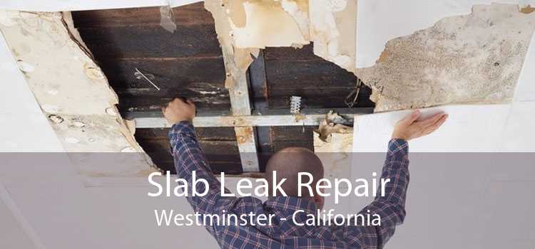 Slab Leak Repair Westminster - California