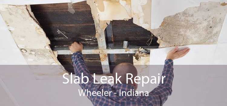 Slab Leak Repair Wheeler - Indiana