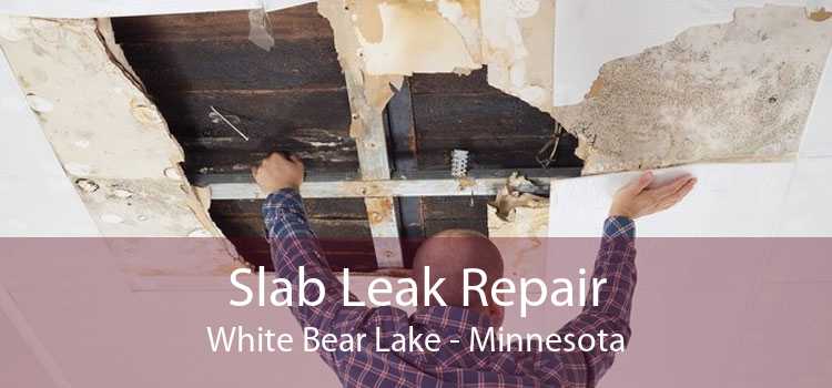Slab Leak Repair White Bear Lake - Minnesota