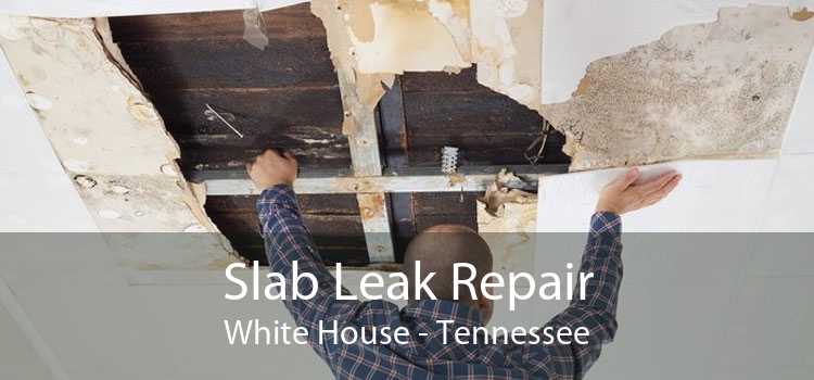 Slab Leak Repair White House - Tennessee