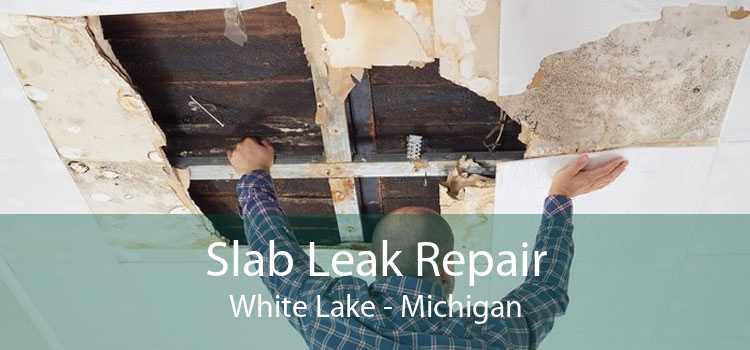 Slab Leak Repair White Lake - Michigan