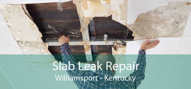 Slab Leak Repair Williamsport - Kentucky