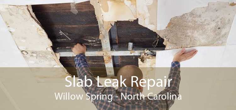 Slab Leak Repair Willow Spring - North Carolina