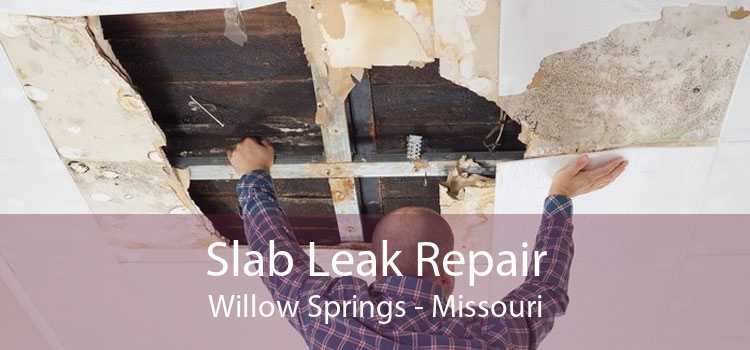 Slab Leak Repair Willow Springs - Missouri