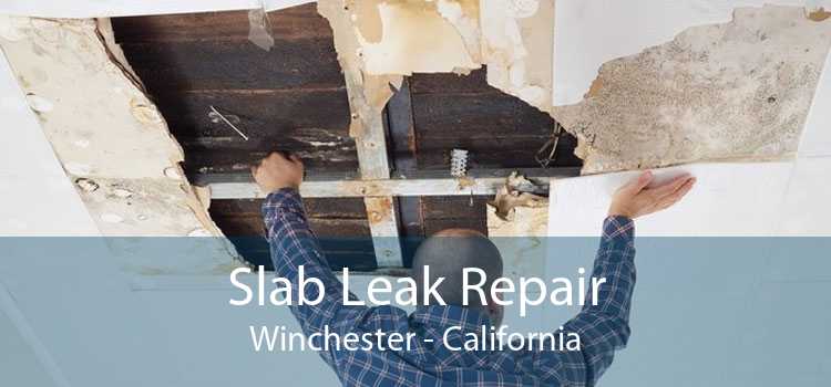 Slab Leak Repair Winchester - California