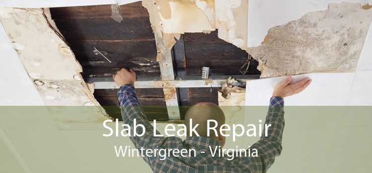 Slab Leak Repair Wintergreen - Virginia