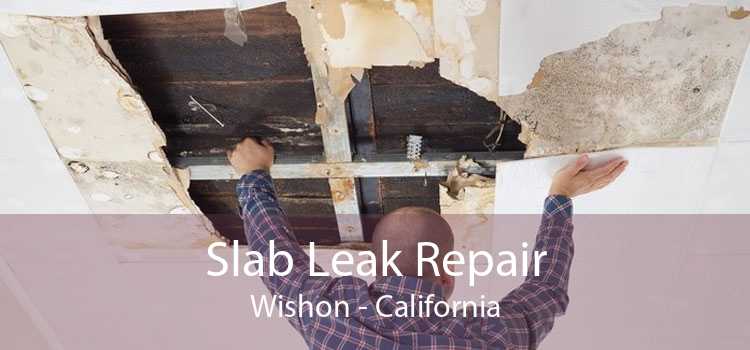Slab Leak Repair Wishon - California