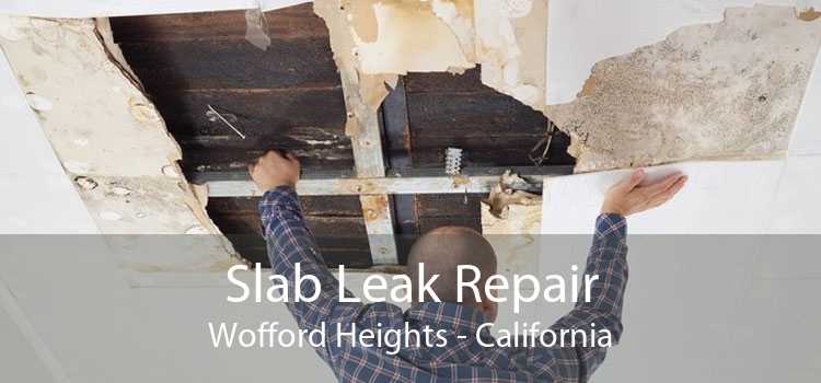 Slab Leak Repair Wofford Heights - California