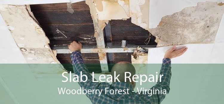 Slab Leak Repair Woodberry Forest - Virginia