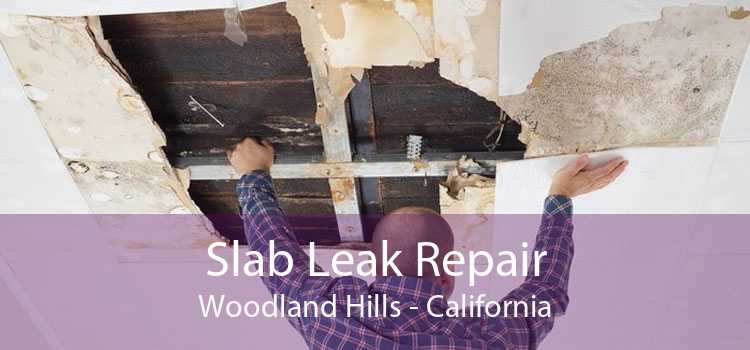 Slab Leak Repair Woodland Hills - California