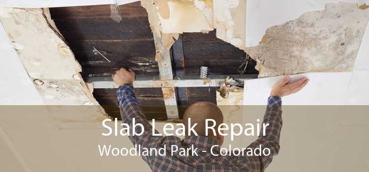 Slab Leak Repair Woodland Park - Colorado