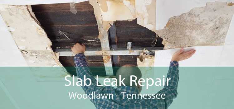 Slab Leak Repair Woodlawn - Tennessee
