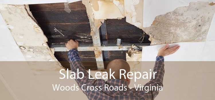 Slab Leak Repair Woods Cross Roads - Virginia