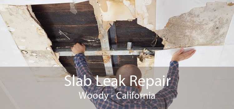 Slab Leak Repair Woody - California