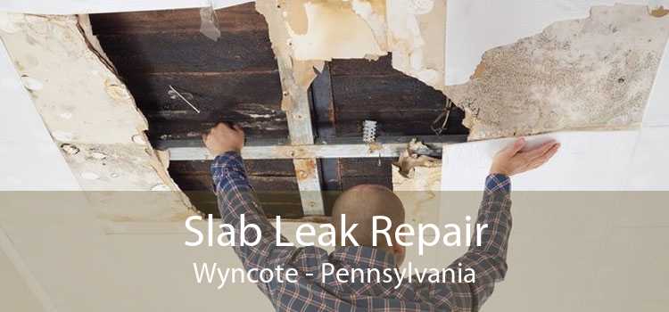 Slab Leak Repair Wyncote - Pennsylvania