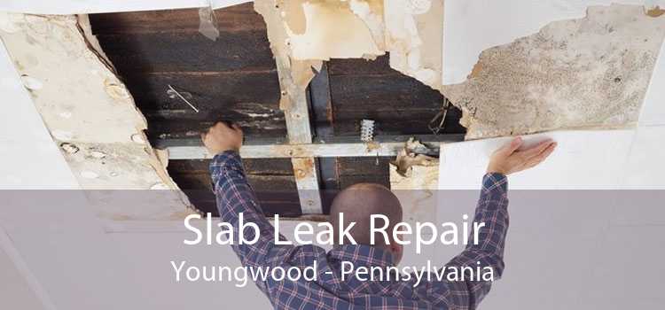 Slab Leak Repair Youngwood - Pennsylvania