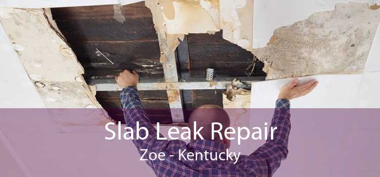Slab Leak Repair Zoe - Kentucky