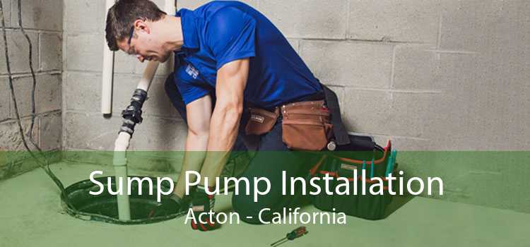 Sump Pump Installation Acton - California