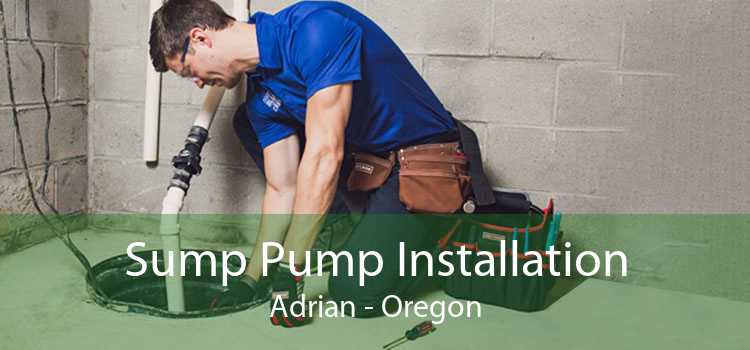 Sump Pump Installation Adrian - Oregon