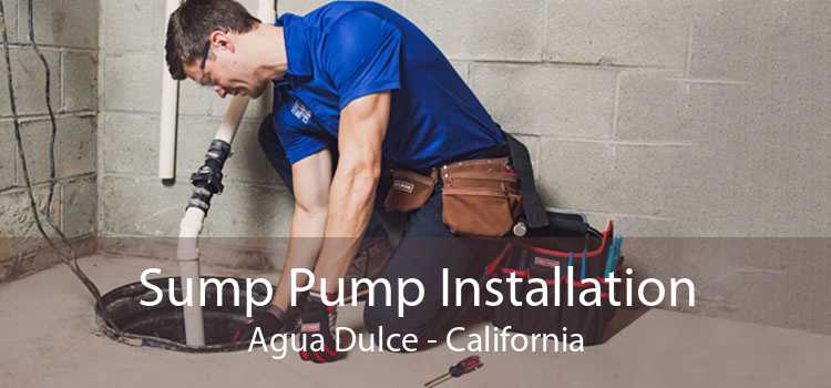 Sump Pump Installation Agua Dulce - California