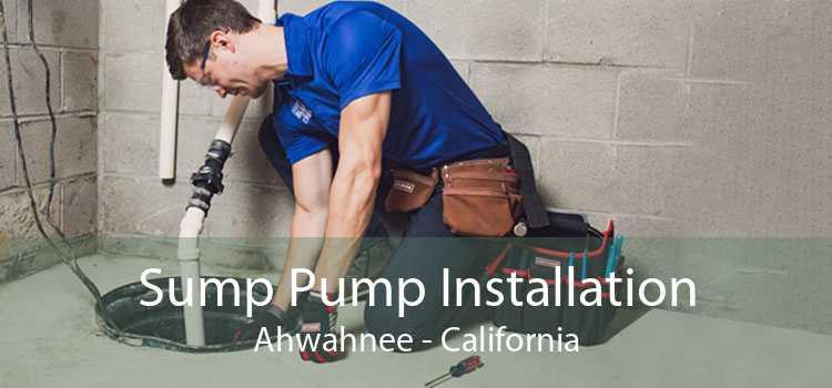 Sump Pump Installation Ahwahnee - California