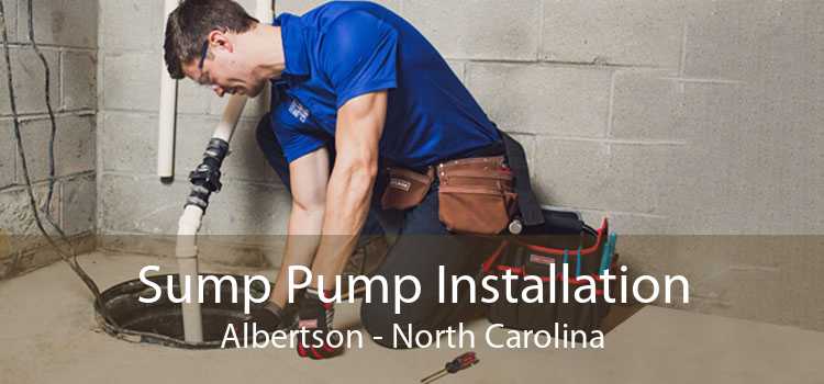 Sump Pump Installation Albertson - North Carolina