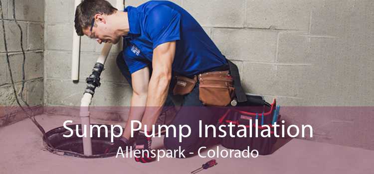 Sump Pump Installation Allenspark - Colorado