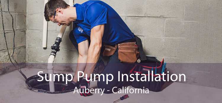 Sump Pump Installation Auberry - California